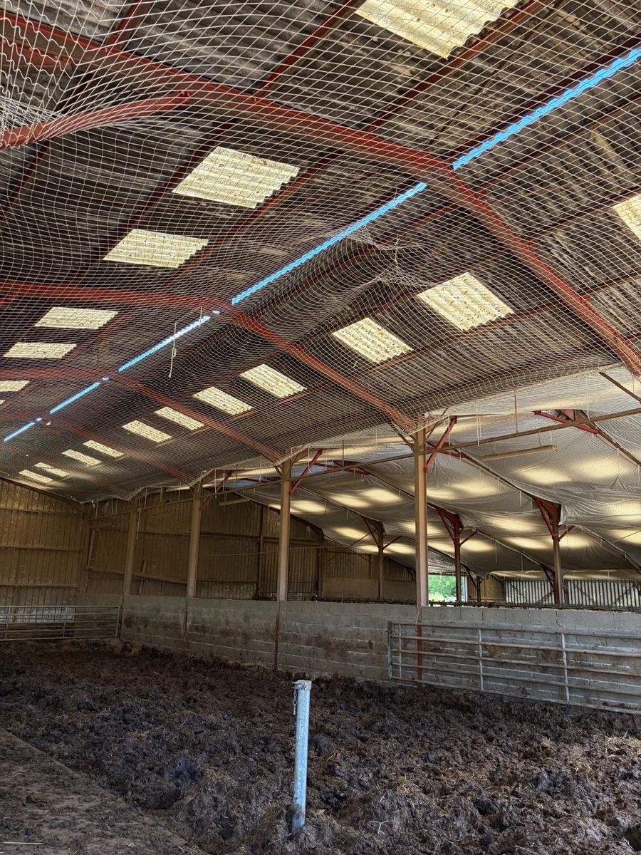 Filet de sécurité et polyane posés sous toiture de bâtiment agricole de 3 600 m2 à Louhans, Saône et Loire (71)
